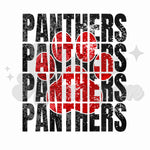 Faux Sequin Panthers with Paw DTF Print