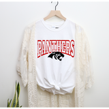 Panthers DTF Print