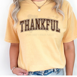 Brown Thankful Block Letters DTF Print