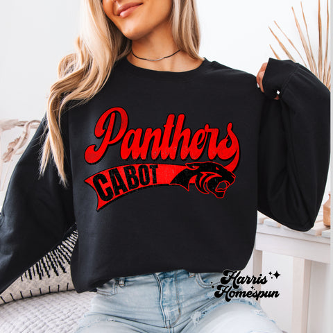 Panthers Cabot Completed Top