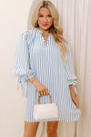 Blue Striped 3/4 Sleeve Dress