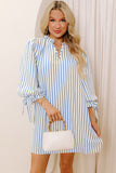 Blue Striped 3/4 Sleeve Dress