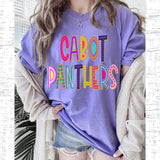 Cabot Panthers Colorful Font DTF Print