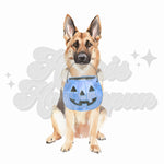 German Shepherd Blue Pumpkin DTF Print