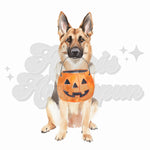 German Shepherd Orange Pumpkin DTF Print