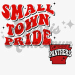 Panthers Small Town Pride DTF Print