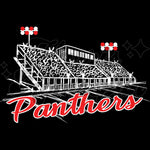 Football Stadium Cabot Panthers DTF Print
