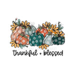 Colorful Assortment of Pumpkins Thankful and Blessed DTF Print