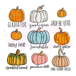 Different Kinds of Pumpkins DTF Print