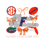 Florida Gators Bows DTF Print