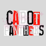 Cabot Panthers Black, Red, White Unisex DTF Print