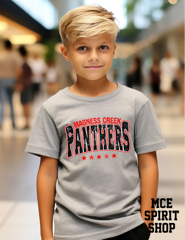 Magness Creek Panthers Stars Completed Top