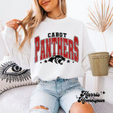 Cabot Panthers Completed Top