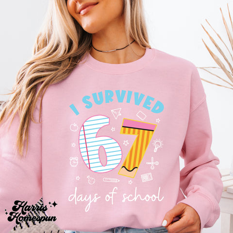 I survived 67 Days Completed Top