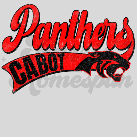 Panthers Cabot DTF Print